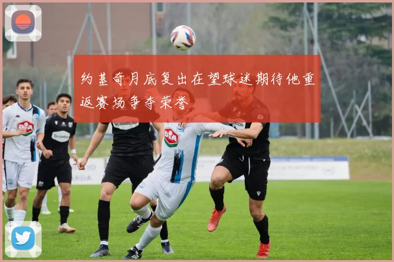 约基奇月底复出在望球迷期待他重返赛场争夺荣誉