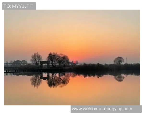 文班深入研究进攻时机力求每次出手都成为最佳选择的秘诀与心得分享 文班深入研究进攻时机力求每次出手都成为最佳选择的秘诀与心得分享